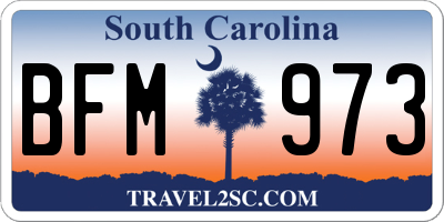 SC license plate BFM973