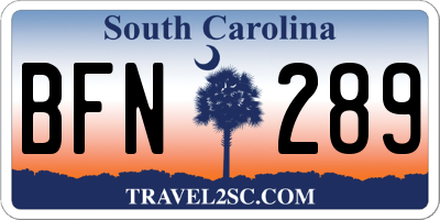 SC license plate BFN289