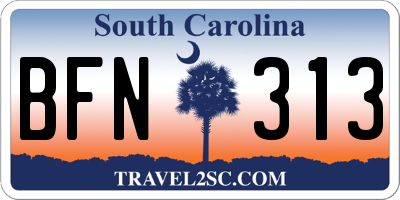 SC license plate BFN313