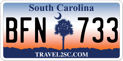 SC license plate BFN733