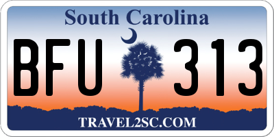 SC license plate BFU313