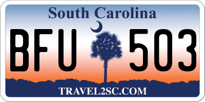 SC license plate BFU503