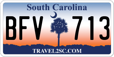 SC license plate BFV713