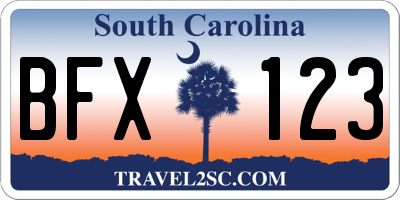 SC license plate BFX123