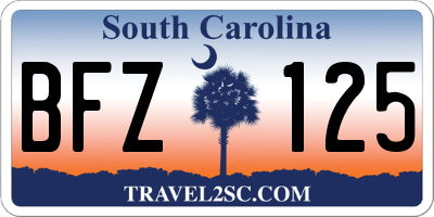 SC license plate BFZ125