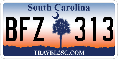 SC license plate BFZ313
