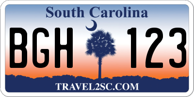 SC license plate BGH123