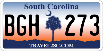 SC license plate BGH273