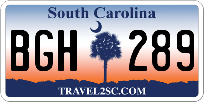 SC license plate BGH289