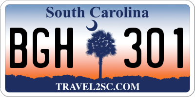 SC license plate BGH301