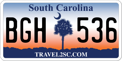 SC license plate BGH536