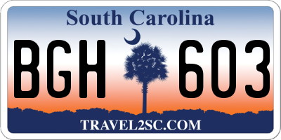 SC license plate BGH603