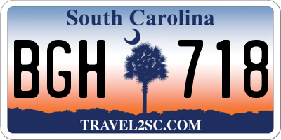 SC license plate BGH718
