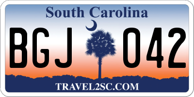 SC license plate BGJ042