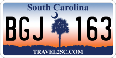 SC license plate BGJ163