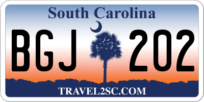 SC license plate BGJ202