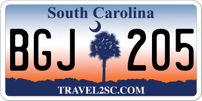 SC license plate BGJ205