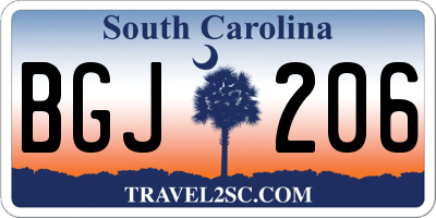 SC license plate BGJ206