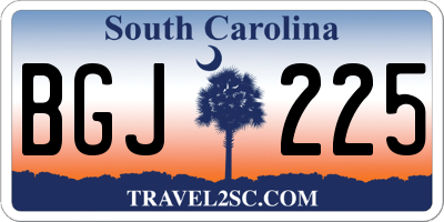SC license plate BGJ225