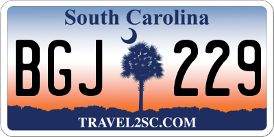 SC license plate BGJ229
