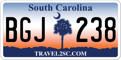 SC license plate BGJ238