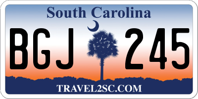 SC license plate BGJ245