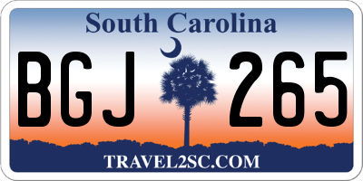 SC license plate BGJ265