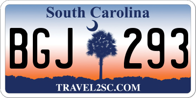SC license plate BGJ293