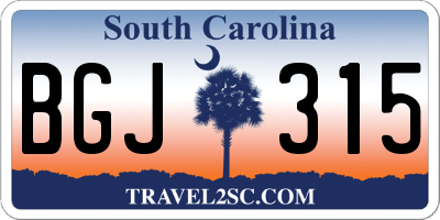 SC license plate BGJ315
