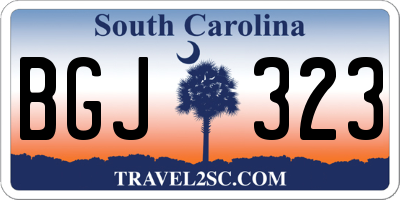 SC license plate BGJ323