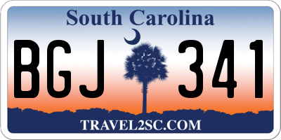 SC license plate BGJ341