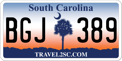 SC license plate BGJ389