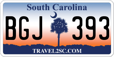 SC license plate BGJ393