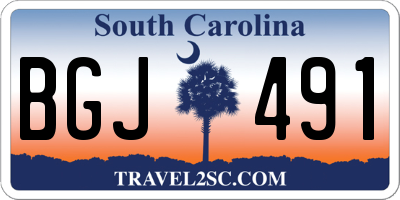 SC license plate BGJ491