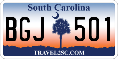 SC license plate BGJ501