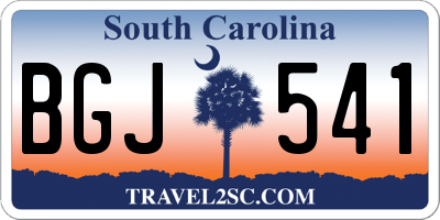 SC license plate BGJ541