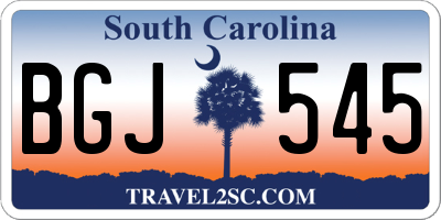 SC license plate BGJ545