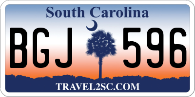 SC license plate BGJ596