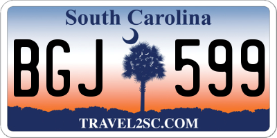 SC license plate BGJ599