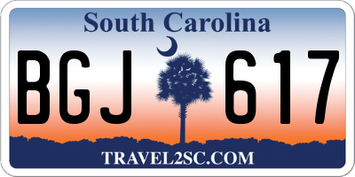SC license plate BGJ617