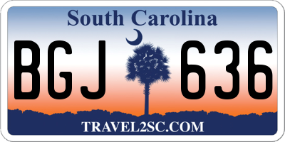 SC license plate BGJ636