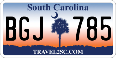SC license plate BGJ785
