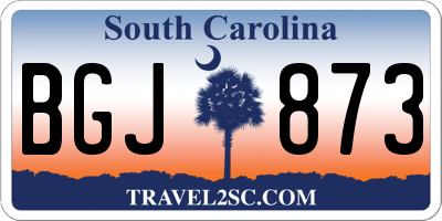 SC license plate BGJ873