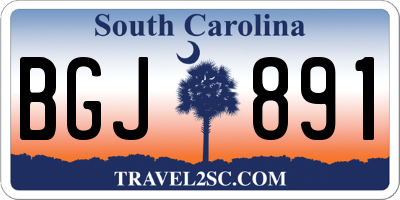 SC license plate BGJ891