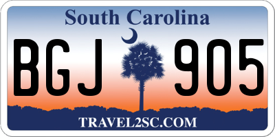 SC license plate BGJ905
