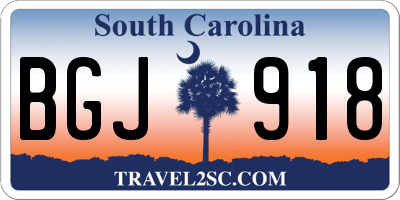 SC license plate BGJ918