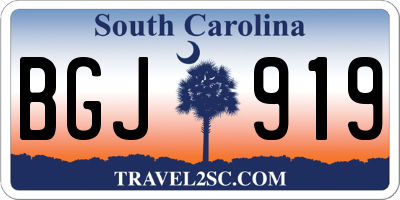 SC license plate BGJ919