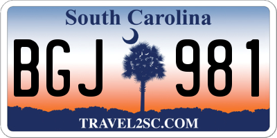 SC license plate BGJ981