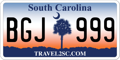 SC license plate BGJ999