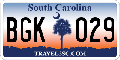 SC license plate BGK029